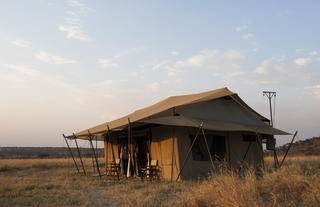 Mara Under Canvas - North Serengeti