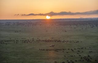 Nyasi Tented Camp