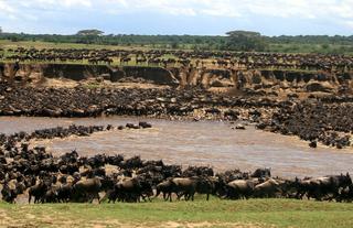 Nyasi Tented Camp