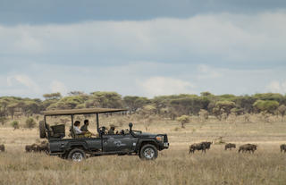 Nyasi Tented Camp
