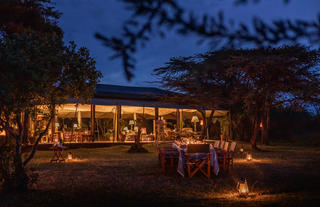 Outdoor Dinner Setup