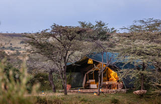 Classic Safari Tent