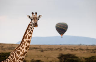 Hot-Air-Balloon