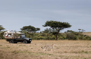 Game Drive