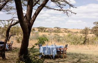 Bush Dining