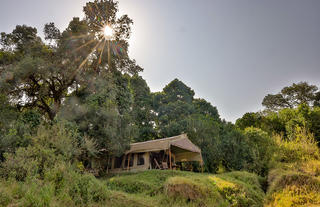 Sentinel Mara Camp
