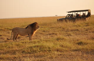Game Drive