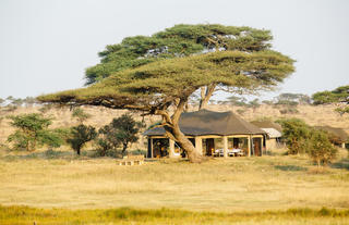 Namiri Plains - Guest Tent Exterior