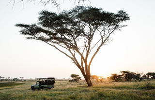 Namiri Plains - sunrise game drive