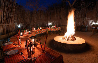 Boma ready for dinner