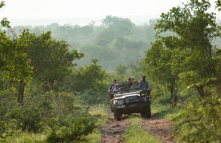 Out in the bush