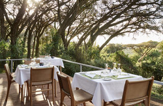 Decking - dining
