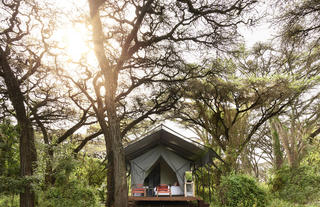 Tent exterior