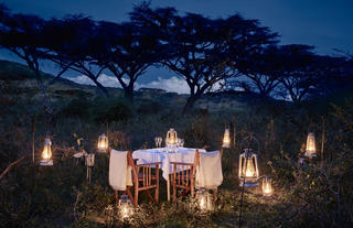 Bush dinner
