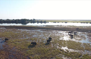 Chobe Water Villas
