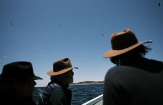 Excursiones y Actividades