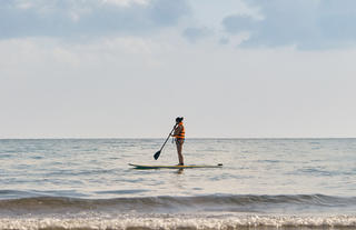 Excursiones y Actividades