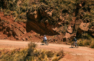 Excursiones y Actividades