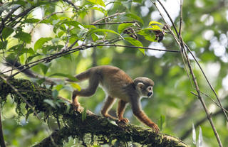La Selva Eco Lodge and Retreat