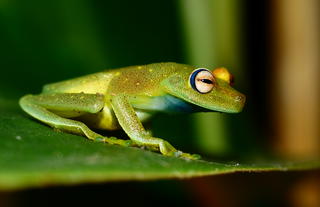 La Selva Eco Lodge and Retreat