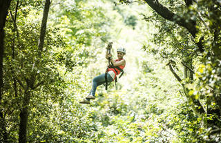 Zipline