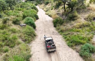 Game drive through the Manyeleti riverbed