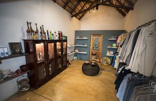 Curio Shop
