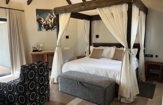 Wild Dog Safari Suite