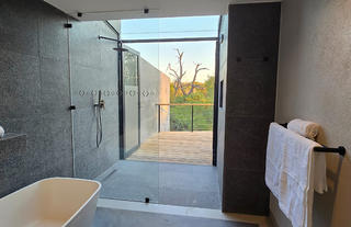 Private Suite Bathroom - indoor/outdoor shower