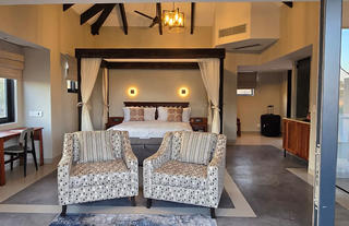 Rhino Safari Suite