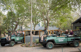 Off we go on Safari!