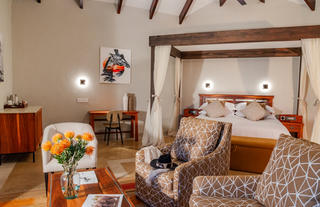 Giraffe Safari Suite