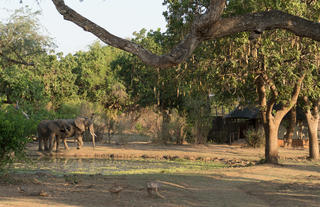There Rivers Camp - Waterhole