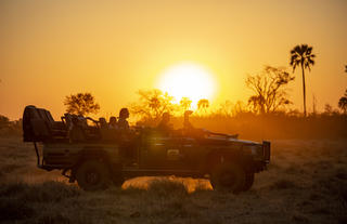 Sunset Game drive