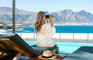 Experiences | Whale Watching