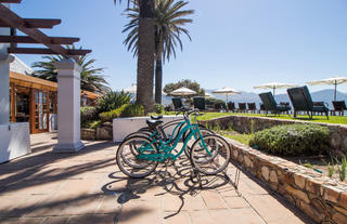 Experiences | Bicycles