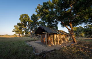 Hwange Walking Safari
