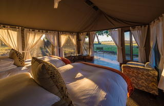 Hwange Walking Safari