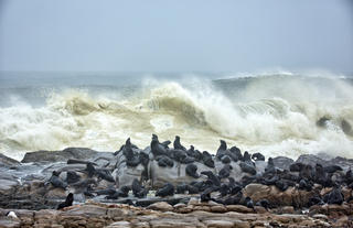 Skeleton Coast