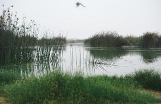 Huarusib River