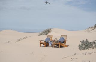 Shipwreck Desert Lunch
