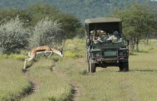 Ongava Lodge