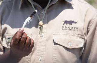 Ongava Game Reserve