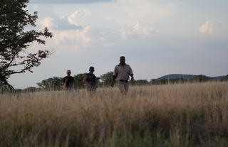 Ongava Game Reserve