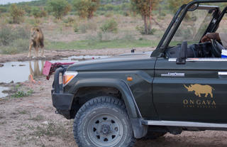 Ongava Game Reserve