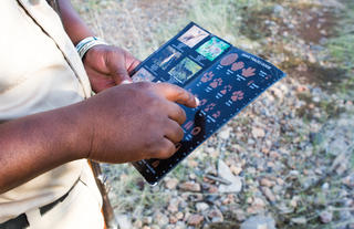 Ongava Game Reserve