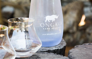 Ongava Game Reserve water
