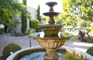 Fountain in courtyard. 