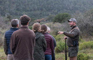 Guided bush walks