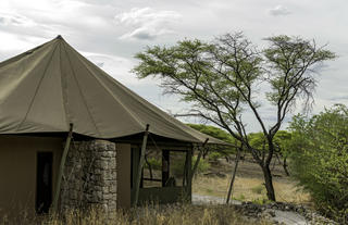 Tented Accommoation
